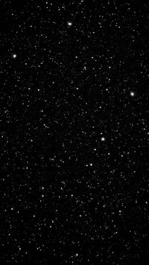 夜空中密集的星場