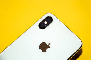 白色iPhone，配備雙鏡頭和蘋果標誌，置於黃色背景上。