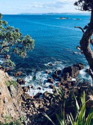 崎嶇的懸崖，海浪拍打，綠樹俯瞰藍綠色的海洋。