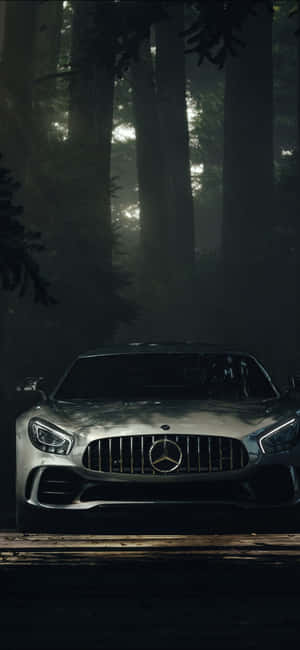 銀色 Mercedes-AMG GT 在霧氣瀰漫的森林中，高聳的樹木和柔和的光線。