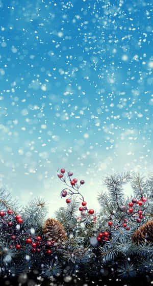 節日常青樹枝，帶有紅莓和松果，在飄雪中映襯著藍天。