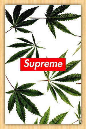 白色背景上被大麻葉包圍的Supreme標誌。