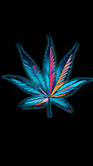 一片發光的霓虹大麻葉，帶有藍色、粉紅色和橙色的漸變，背景為黑色。