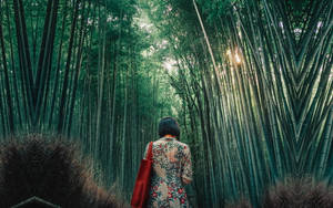 一個穿著花卉圖案連衣裙的女人走過竹林，陽光穿過樹木灑落下來。