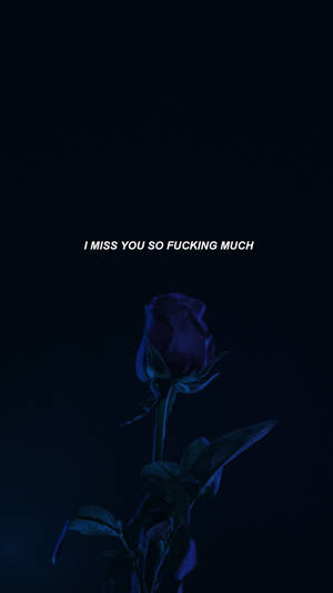 一朵邊緣發光的深藍色玫瑰，背景為黑色，白色文字寫著 I MISS YOU SO FUCKING MUCH。 — 玫瑰 壁紙