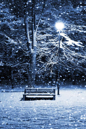 冬季公園夜晚，街燈照亮積雪長凳。