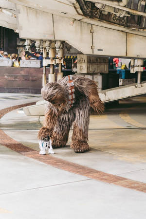 主題公園中千年鷹號下的丘巴卡和R2-D2。 — 星球大戰 iPhone 壁紙