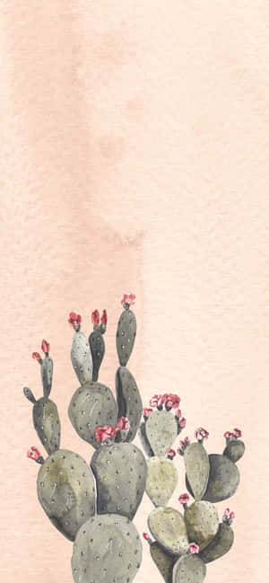 蜜桃色背景上帶有粉紅色花朵的仙人掌果仙人掌。