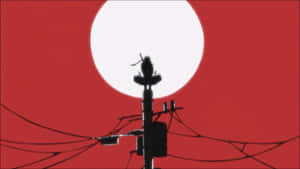 電線杆剪影，帶有電線同雀仔，襯住一個紅色天空同大型白色太陽。