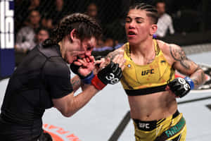 兩名女性MMA拳手在UFC八角籠中互換拳擊。