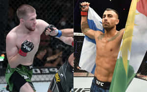 兩位男性UFC拳手，一位出拳擊中另一位，後者在八角籠中舉旗。