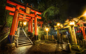 紅色鳥居被燈籠照亮，沿著夜間森林神社的石階排列。