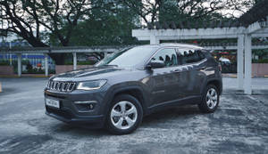 灰色Jeep Compass SUV停泊在市區停車區的樹下。