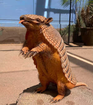 巨型犰狳喺日間嘅動物園圍欄入面用後腿企起身。 — Galaxy Z Flip 8 壁紙