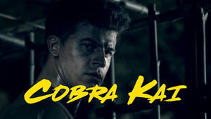 昏暗健身室中的年輕武術家，帶有 'Cobra Kai' 標題文字。