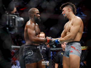 兩名MMA拳手在職業比賽期間於八角籠中握手。