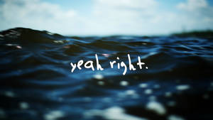 海浪，白色草書寫著 yeah right。