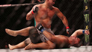 兩名男性MMA拳手在八角籠內交戰