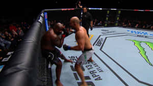 兩名MMA拳手在現場賽事期間於UFC八角籠內互換拳擊。
