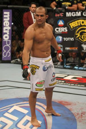 MMA拳手站在有血跡的UFC八角籠中。