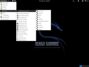 Kali Linux 圖片