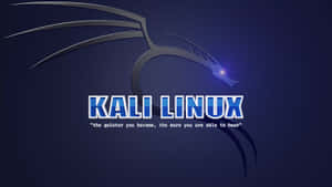Kali Linux 圖片