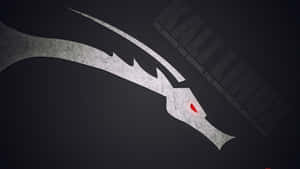 Kali Linux 圖片