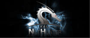 Kali Linux 圖片
