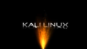 Kali Linux 背景