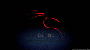 紅色Kali Linux龍標誌在深色背景上，帶藍色紋理底座和金屬文字。