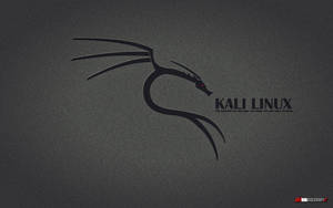 Kali Linux 標誌，在深灰色紋理背景上有一條紅眼黑龍。