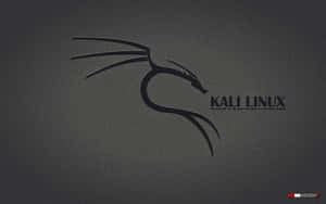 Kali Linux 龍標誌，紅色眼睛，深灰色紋理背景