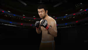 MMA拳手戴紅手套在八角籠中準備就緒 — 動漫打鬥 壁紙