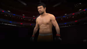 肌肉發達的MMA戰士在八角籠中，背景有觀眾 — 動漫打鬥 壁紙