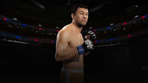 一位UFC拳手戴著手套站在八角籠競技場中。 — 動漫打鬥 壁紙