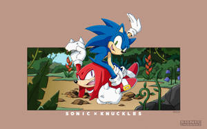 Sonic the Hedgehog 騎著 Knuckles the Echidna 穿過叢林。 — 超音鼠 壁紙