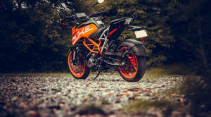 橙色和黑色KTM Duke電單車停泊在森林中的碎石上。