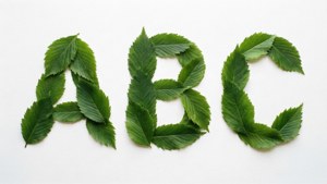 綠葉在白色表面上形成字母ABC
