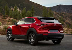 紅色Mazda CX-30 SUV停在靠近山脈和松樹的鋪砌道路上。 — 平治 C300 壁紙