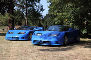 兩輛藍色Bugatti EB110超級跑車停放在樹旁的草地上。 — 布加迪 壁紙