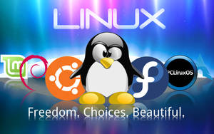 Linux企鵝吉祥物被發行版標誌環繞，帶有宇宙背景。