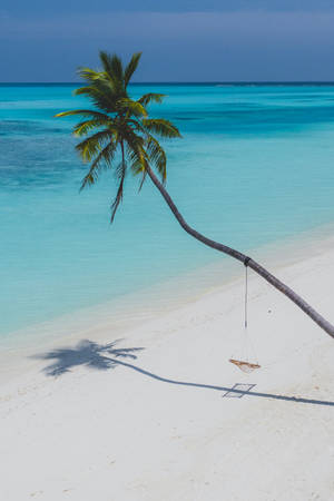 Relaxing on a tropical beach, feeling the summer sun