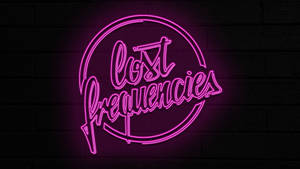 粉紅色霓虹燈牌寫著 Lost Frequencies 在深色磚牆上。
