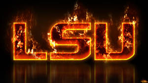 LSU — LSU 壁紙