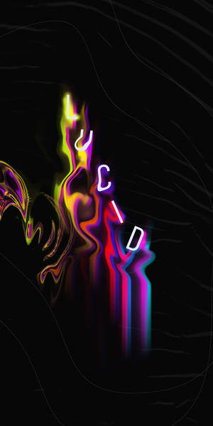 黑色背景上帶有彩色液體光效的霓虹發光文字lucid