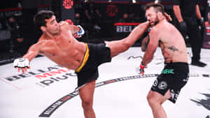 兩名男性拳手在鐵籠中於MMA比賽期間踢出高踢。