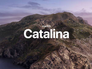 黃昏時分崎嶇的山景，帶有 macOS Catalina 文字疊加。