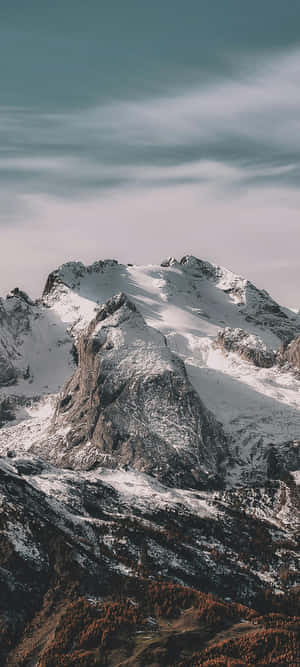 多雲天空下，秋天的樹木與雪山山頂。 — iPhone 16 壁紙