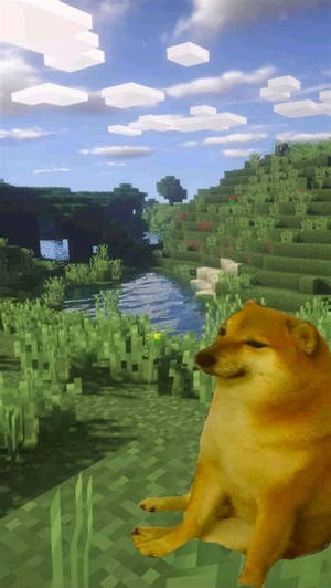 Minecraft草地風景中的柴犬，有河流和立方體雲朵。