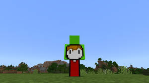 Minecraft角色戴綠色帽子和紅色長袍站在草地上 — 我的世界 壁紙